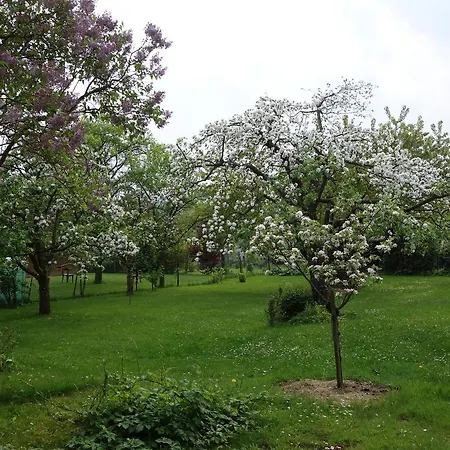 Haus Victoria Nyaraló